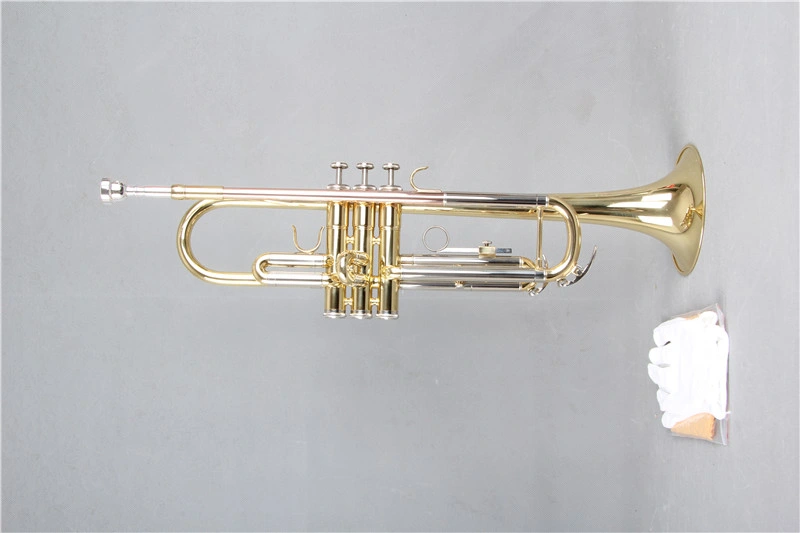 Trumpet/ Bb Trumpet/ Brass / Musical Instruments / Tr-535L